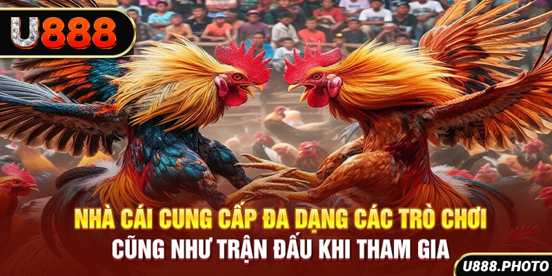 Nhà cái cung cấp đa dạng các trò chơi cũng như trận đấu khi tham gia
